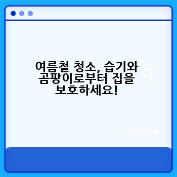 여름철 청소, 습기와 곰팡이로부터 집을 보호하세요!