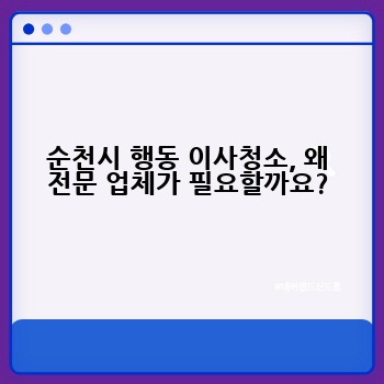 순천시 행동 이사청소, 왜 전문 업체가 필요할까요?