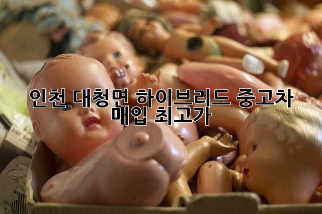 인천 대청면 하이브리드 중고차 매입 최고가!