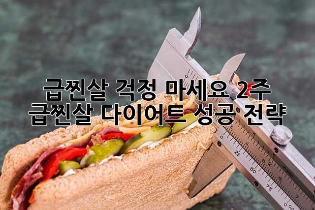 급찐살? 걱정 마세요! 2주 급찐살 다이어트 성공 전략