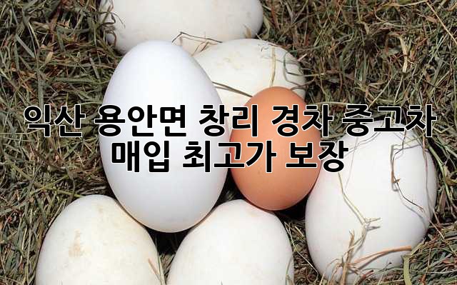 익산 용안면 창리 경차 중고차 매입: 최고가 보장!