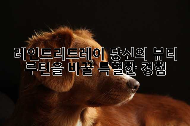 레인트리트레이: 당신의 뷰티 루틴을 바꿀 특별한 경험