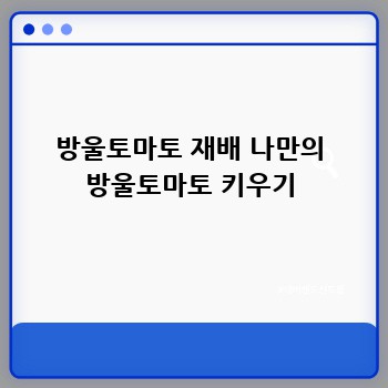 방울토마토 재배 나만의 방울토마토 키우기