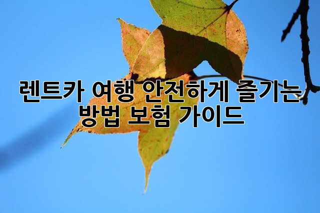 렌트카 여행, 안전하게 즐기는 방법: 보험 가이드