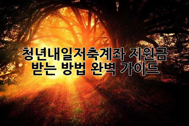 청년내일저축계좌, 지원금 받는 방법 완벽 가이드!