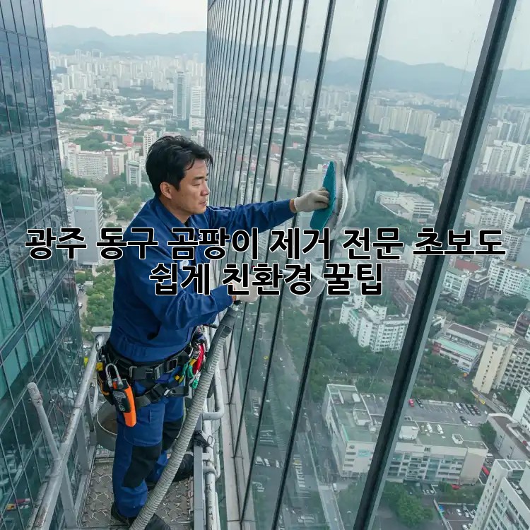 🏡 광주 동구 곰팡이 제거 전문: 초보도 쉽게! 친환경 꿀팁 🍯