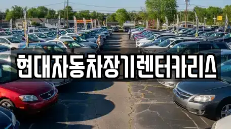 경기도 안양시 동안구 장기렌트카 리뷰 많은 TOP 20