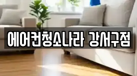 에어컨청소나라 강서구점