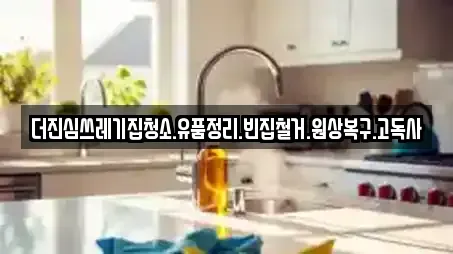 더진심쓰레기집청소.유품정리.빈집철거.원상복구.고독사