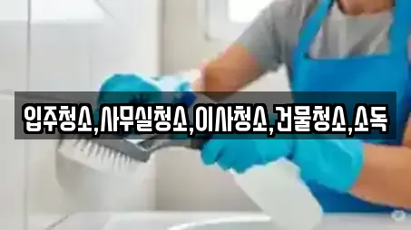 8곳 전라남도 다시면 주변 청소 리스트