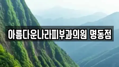 아름다운나라피부과의원 명동점