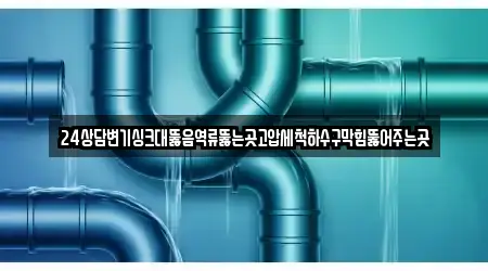 24상담변기싱크대뚫음역류뚫는곳고압세척하수구막힘뚫어주는곳