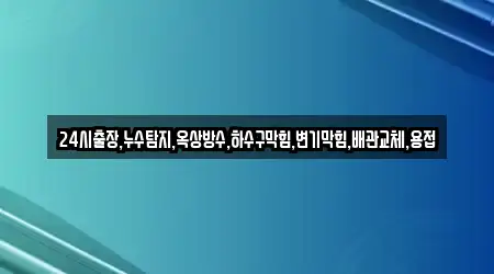 24시출장,누수탐지,옥상방수,하수구막힘,변기막힘,배관교체,용접