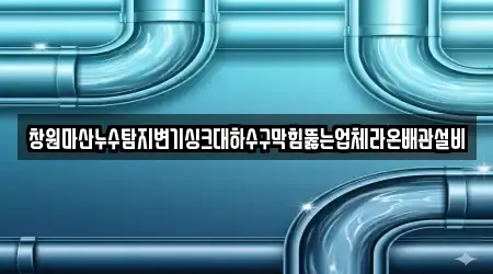 창원마산누수탐지변기싱크대하수구막힘뚫는업체라온배관설비