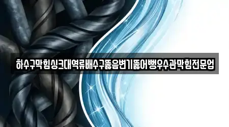 하수구막힘싱크대역류배수구뚫음변기뚫어뻥우수관막힘전문업