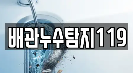 배관누수탐지119