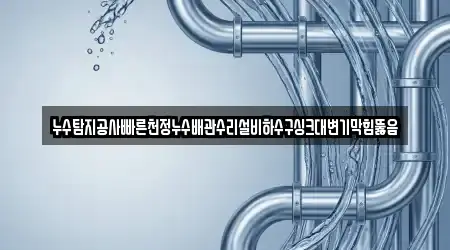 누수탐지공사빠른천정누수배관수리설비하수구싱크대변기막힘뚫음