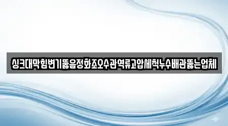 싱크대막힘변기뚫음정화조오수관역류고압세척누수배관뚫는업체