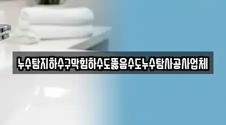 누수탐지하수구막힘하수도뚫음수도누수탐사공사업체