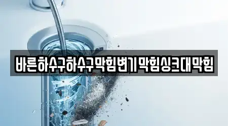 바른하수구하수구막힘변기막힘싱크대막힘