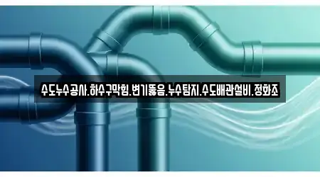 수도누수공사.하수구막힘.변기뚫음.누수탐지.수도배관설비.정화조