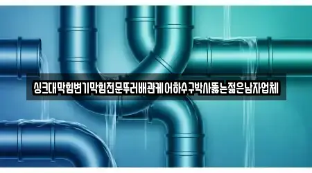 싱크대막힘변기막힘전문뚜러배관케어하수구박사뚫는젊은남자업체