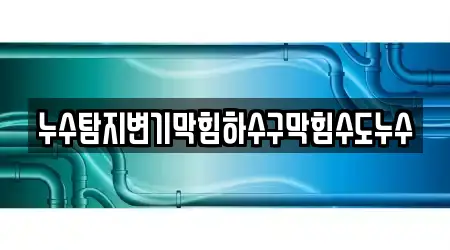 누수탐지변기막힘하수구막힘수도누수
