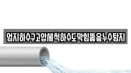 엄지하수구고압세척하수도막힘뚫음누수탐지
