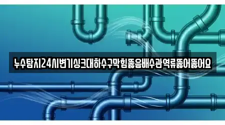 누수탐지24시변기싱크대하수구막힘뚫음배수관역류뚫어뚫어요