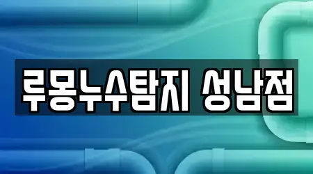 루몽누수탐지 성남점