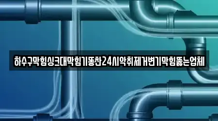 하수구막힘싱크대막힘기똥찬24시악취제거변기막힘뚫는업체
