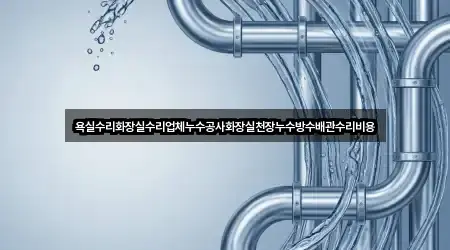 욕실수리화장실수리업체누수공사화장실천장누수방수배관수리비용