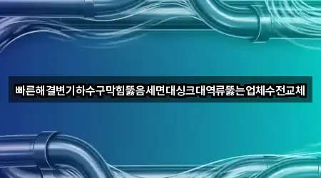 빠른해결변기하수구막힘뚫음세면대싱크대역류뚫는업체수전교체