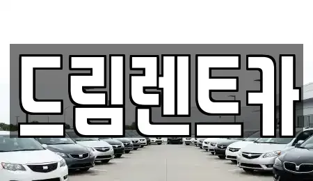 경기 과천시 별양동 렌트카 전문 드림렌트카