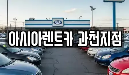 경기 과천시 별양동 렌트카,단기렌트카,장기렌트카,중고차,중고차매매,중고차매입