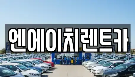 경기 과천시 별양동 렌트카 전문 엔에이치렌트카