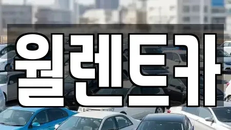 경기 과천시 별양동 렌트카 전문 월렌트카