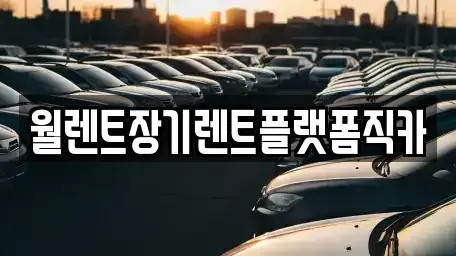 경기 과천시 별양동 장기렌트카 전문 월렌트장기렌트플랫폼직카