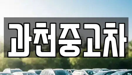 경기 과천시 별양동 중고차 전문 과천중고차