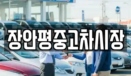 경기 과천시 별양동 중고차 전문 장안평중고차시장