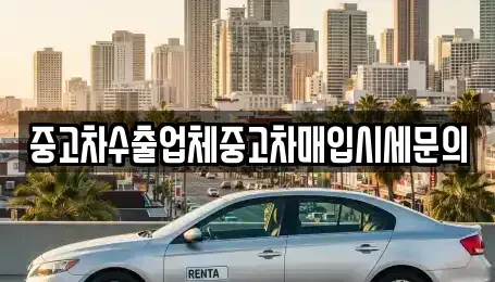 경기 과천시 별양동 중고차 전문 중고차수출업체중고차매입시세문의