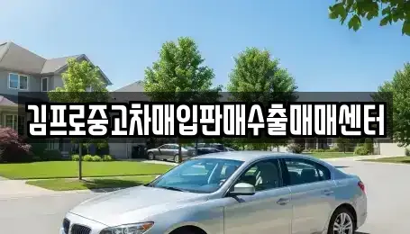 경기 과천시 별양동 중고차매입 전문 김프로중고차매입판매수출매매센터