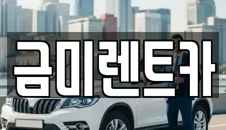 경기 부천시 오정구 대장동 렌트카 전문 금미렌트카