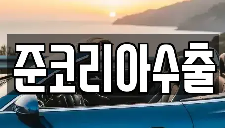 경기 부천시 오정구 대장동 중고차매매 전문 준코리아수출