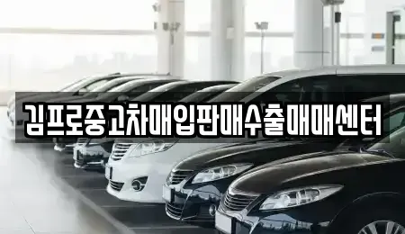 경기 부천시 오정구 대장동 중고차매입 전문 김프로중고차매입판매수출매매센터