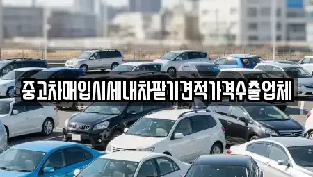 경기 부천시 오정구 대장동 중고차매입 전문 중고차매입시세내차팔기견적가격수출업체