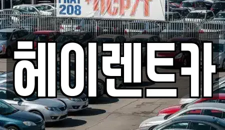 경기 안양시 동안구 관양동 렌트카 전문 헤이렌트카