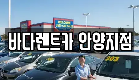 경기 안양시 동안구 관양동 장기렌트카 전문 바다렌트카 안양지점