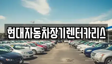 경기 안양시 동안구 관양동 장기렌트카 전문 현대자동차장기렌터카리스