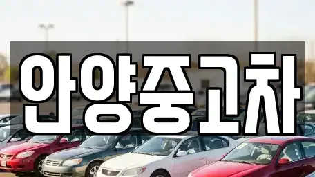 경기 안양시 동안구 관양동 중고차 전문 안양중고차